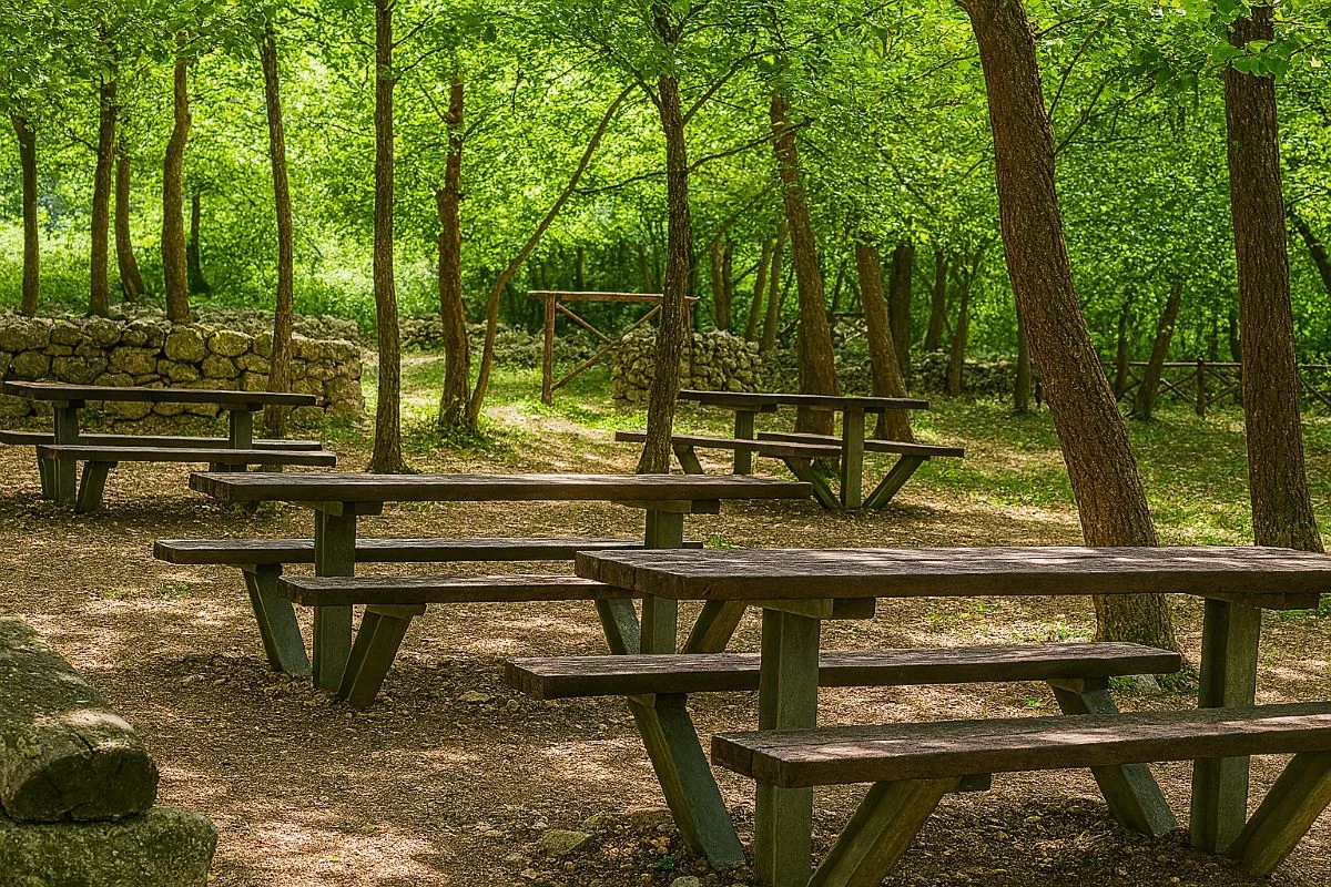 Utilizzo area picnic del bosco